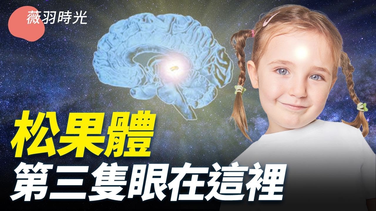 私密：[ID: O6xYeCZmhB4] Youtube Automatic