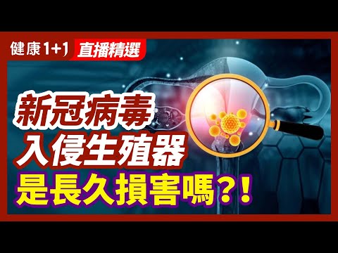 [ID: njCxGBaW8Do] Youtube Automatic