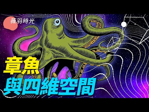 私密：[ID: roH0c-1pfqM] Youtube Automatic