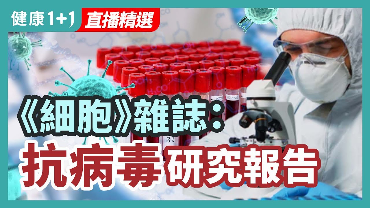 [ID: Fef-RsuDqvQ] Youtube Automatic