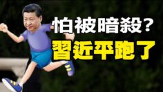 [ID: lXhuUzndO1Q] Youtube Automatic