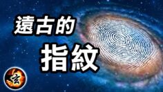 [ID: 7SAceAC-JGM] Youtube Automatic