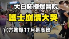 [ID: LESKDwLXSYY] Youtube Automatic