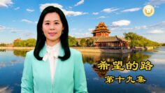 [ID: MYOm_3TMpwY] Youtube Automatic