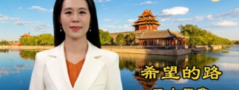 [ID: B-v-w9GnGZQ] Youtube Automatic