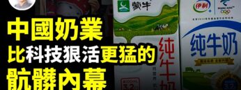 私密：[ID: hyzArD_lohA] Youtube Automatic