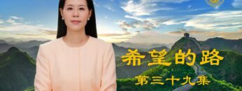 [ID: iKu9IC1DRuI] Youtube Automatic