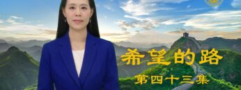 [ID: _33qrTavdOE] Youtube Automatic