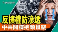 [ID: fW5eJKDPhQg] Youtube Automatic