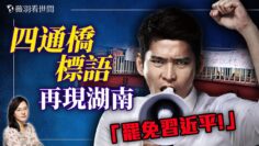 私密：[ID: 7ZPBo1Meelg] Youtube Automatic