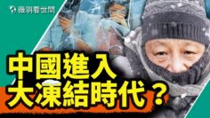 私密：[ID: k5DZWSHMiBY] Youtube Automatic