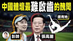 私密：[ID: deFc3kAeVbA] Youtube Automatic