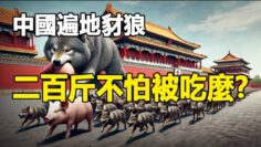 [ID: s512XVN98WM] Youtube Automatic