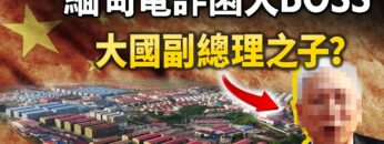 私密：[ID: 29y2-E4rc0Y] Youtube Automatic