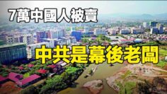 [ID: CiN-W6qrJBQ] Youtube Automatic