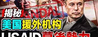 [ID: 2q1O_qkXvuQ] Youtube Automatic