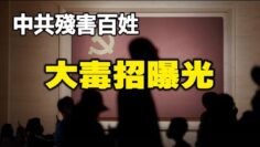 [ID: CcydYAR-nc0] Youtube Automatic