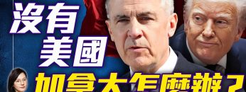 [ID: BcaT3MnRT6g] Youtube Automatic