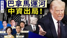 [ID: t4EW7u8RRQU] Youtube Automatic