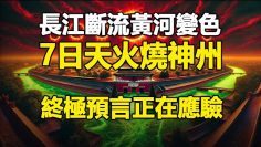 [ID: LXNpcegc08c] Youtube Automatic