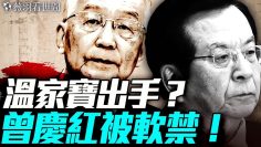 [ID: 2q1mkWdq910] Youtube Automatic