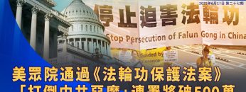 [ID: oRPRM7c5SwE] Youtube Automatic