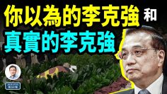 [ID: Clk_-fI0TUE] Youtube Automatic