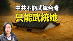 [ID: scXCi8F8NJ4] Youtube Automatic