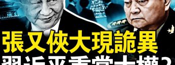 [ID: b610H88obkw] Youtube Automatic