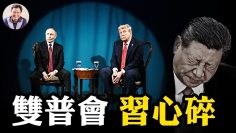 [ID: wAqywHnQGqY] Youtube Automatic