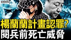 私密：[ID: XKpD2ihmkXI] Youtube Automatic