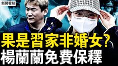 [ID: zvmCdu6R6jk] Youtube Automatic