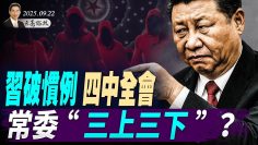 [ID: DmoqblC9C98] Youtube Automatic