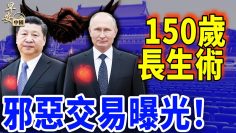 [ID: e54n4q2Givo] Youtube Automatic