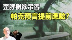 [ID: haM2iPfJUoQ] Youtube Automatic