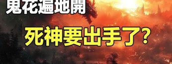 [ID: ot0mOoVrCEE] Youtube Automatic