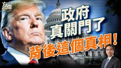 [ID: gZf5jMhYsmg] Youtube Automatic