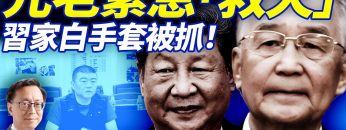 [ID: lL9a9EGJrM4] Youtube Automatic