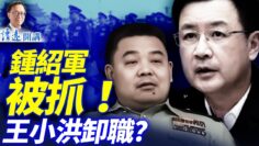 [ID: 1IpHyrQd9mQ] Youtube Automatic