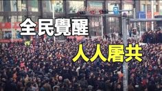 [ID: 2Cb09EsCd1U] Youtube Automatic