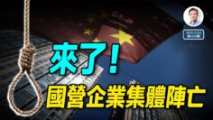 [ID: 8Ie7e8aQqJE] Youtube Automatic