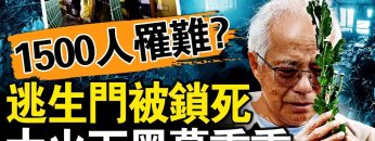 私密：[ID: 8Imfe48FpOc] Youtube Automatic