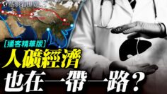 [ID: aQOVJrCZm4k] Youtube Automatic