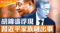 [ID: fjWiFfzCHsA] Youtube Automatic