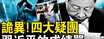 私密：[ID: FJzr339VJhE] Youtube Automatic