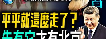 [ID: guuLkyAsE1U] Youtube Automatic