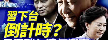 私密：[ID: gWj-EyuTNx4] Youtube Automatic