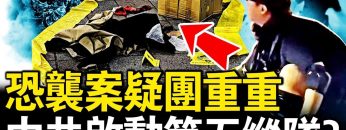 [ID: x6KaJs7uiWE] Youtube Automatic