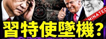 私密：[ID: A2I3GQAFOQk] Youtube Automatic