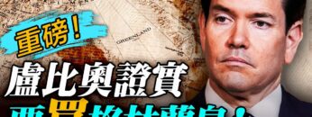 [ID: CArOcAOHIus] Youtube Automatic